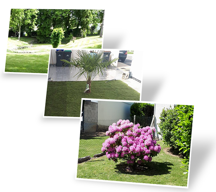 image03